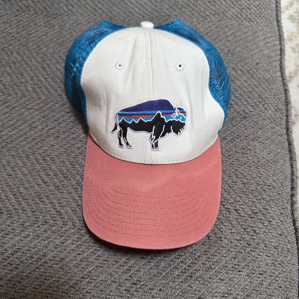 Patagonia Fitz Roy Bison Hat